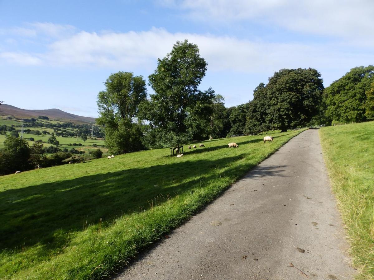 Plas Yn Yale With Mountain Views From All Windows レクサム エクステリア 写真